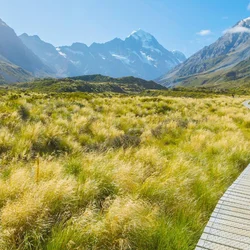 New Zealand